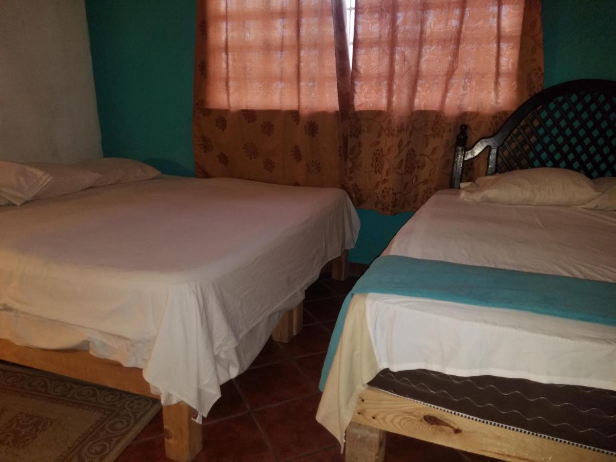 Hostal Enjoy Vallarta 19 Puerto Vallarta Eksteriør billede